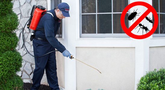 Serinhisar Karınca İlaçlama böcek ilaçlama ve haşere kontrolü — ilaclama-tr.com